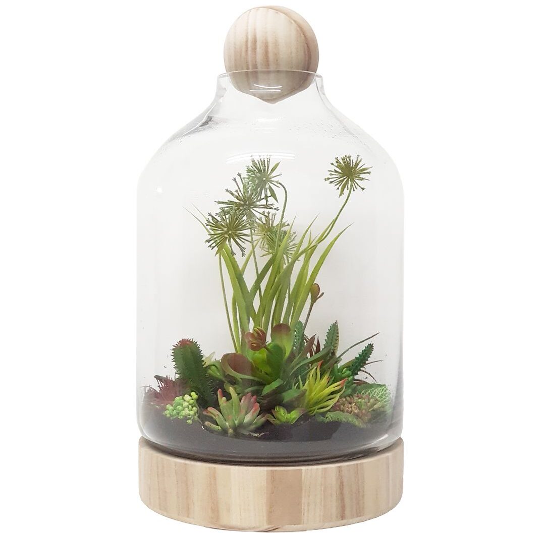 eko lab terrarium with wooden base, planted