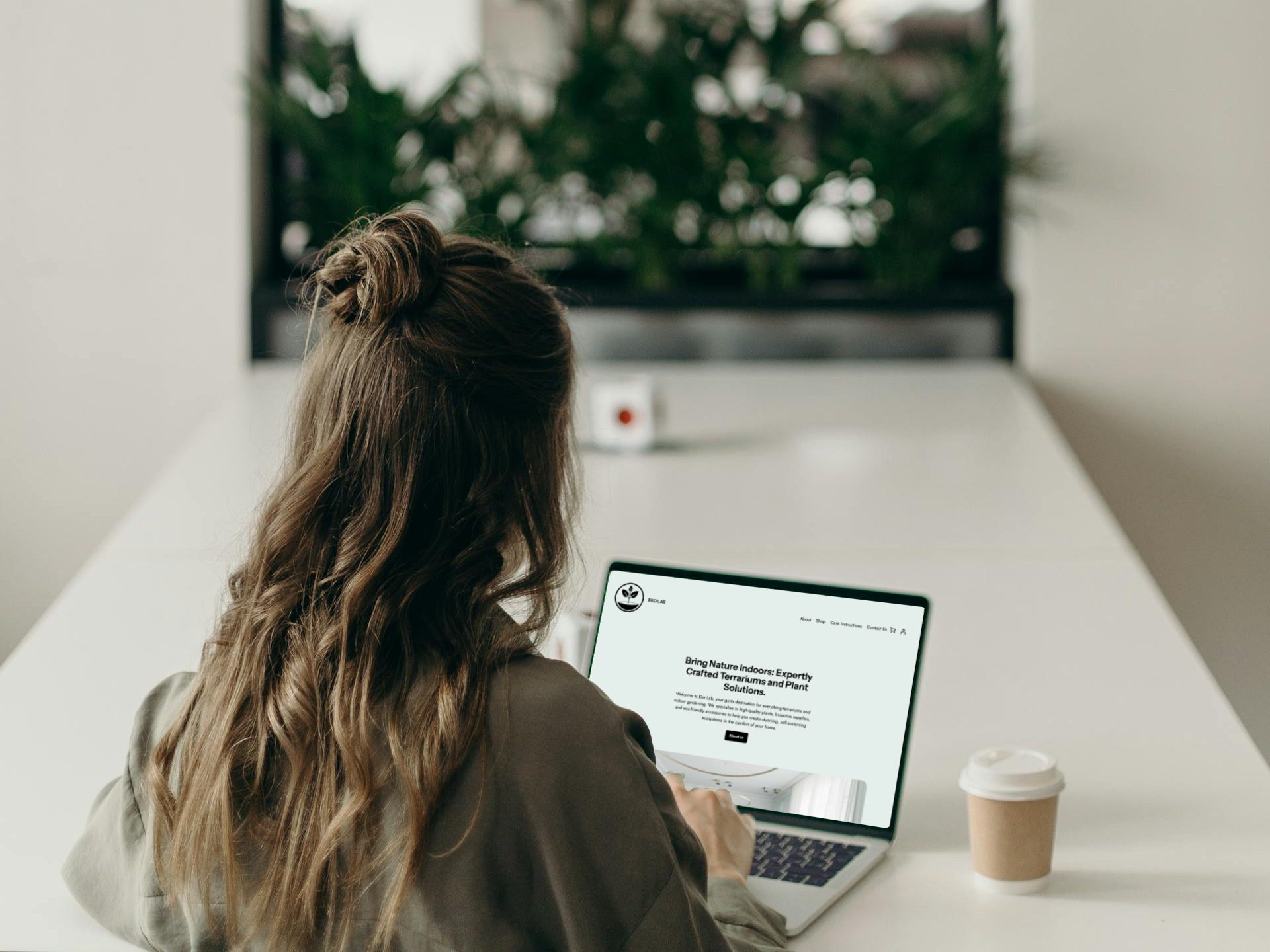 eko-lab-terrarium-guides-&-articles