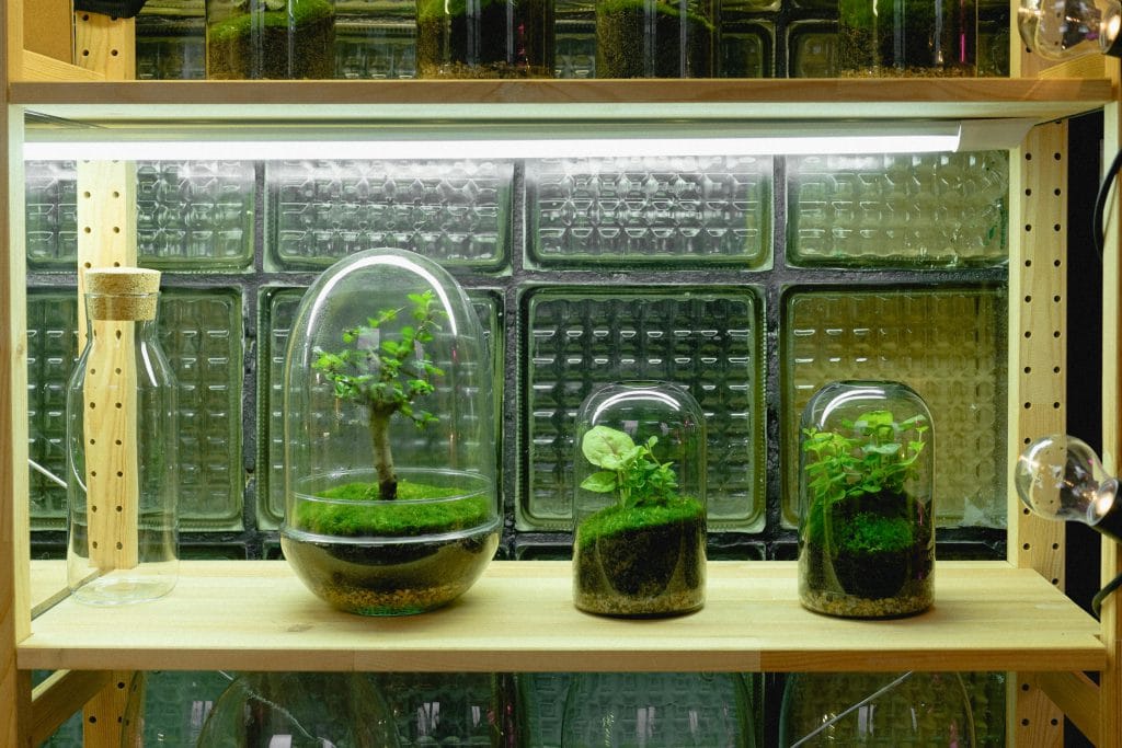 Terrarium lighting - LED
