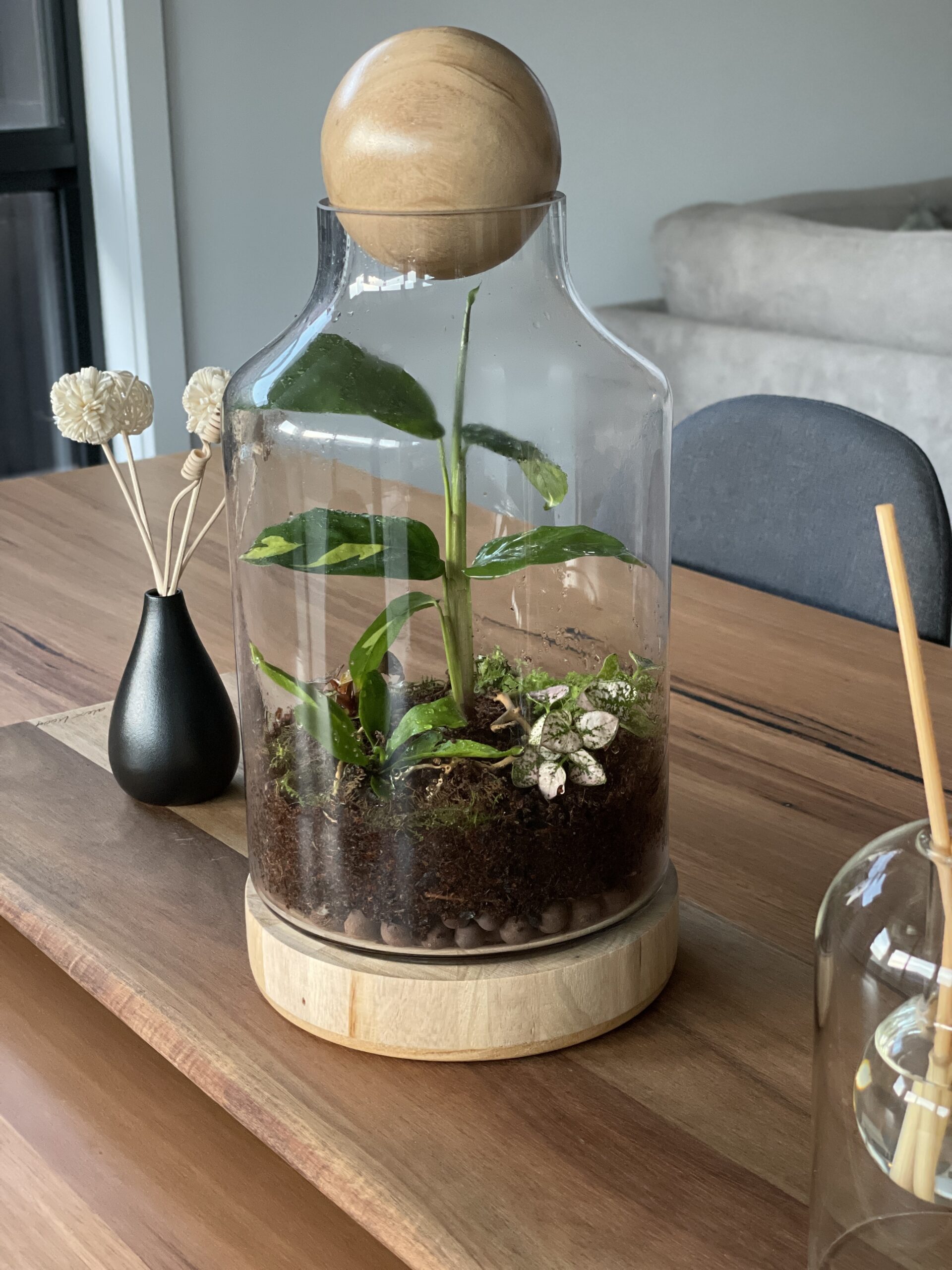 planted glass terrarium, wooden base, wood ball, timber table, black vase