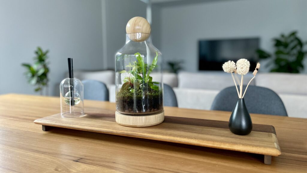 Eko Lab wooden diy terrarium, planted