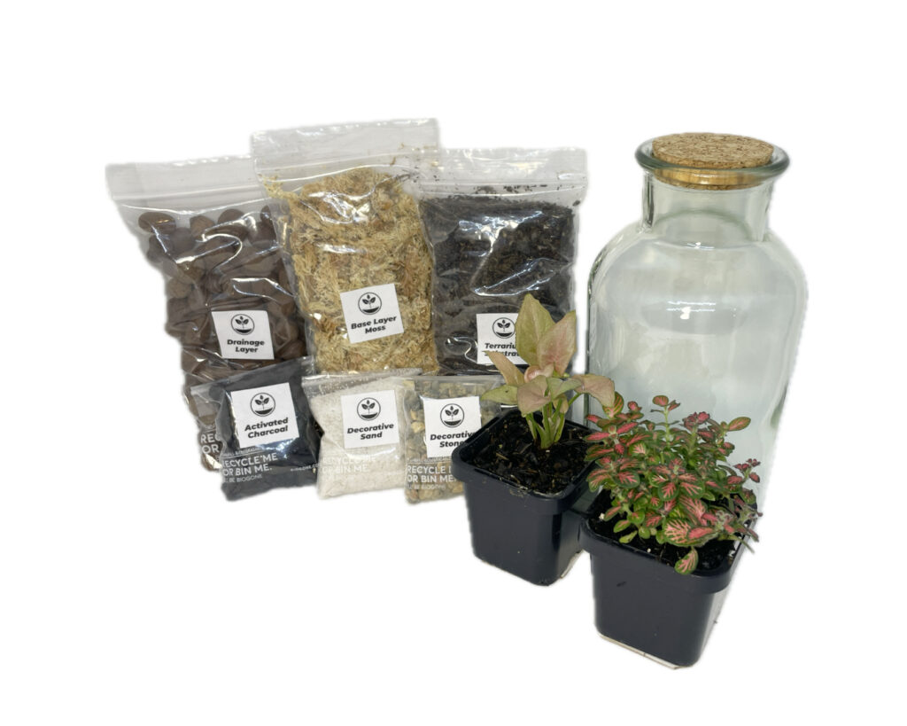 Eko Lab Terrariums cork top bottle full DIY kit