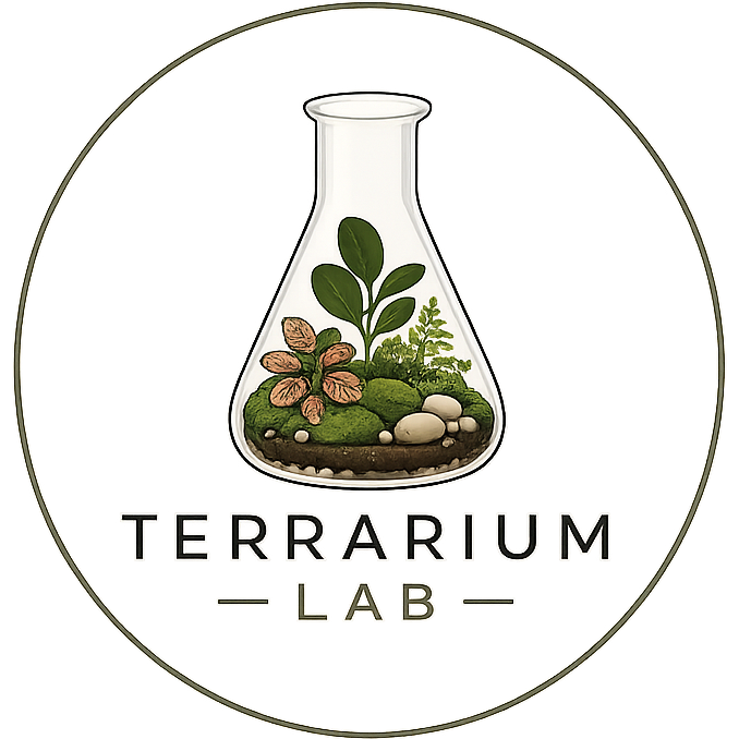 Terrarium Lab