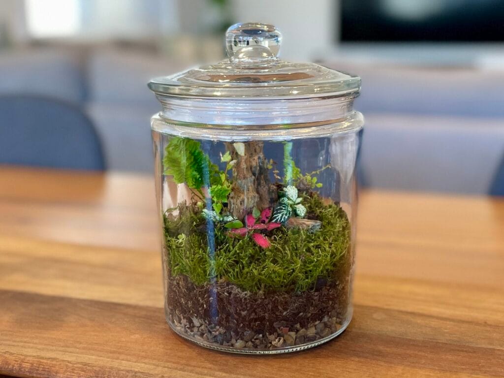Terrarium lighting - Eko Jar