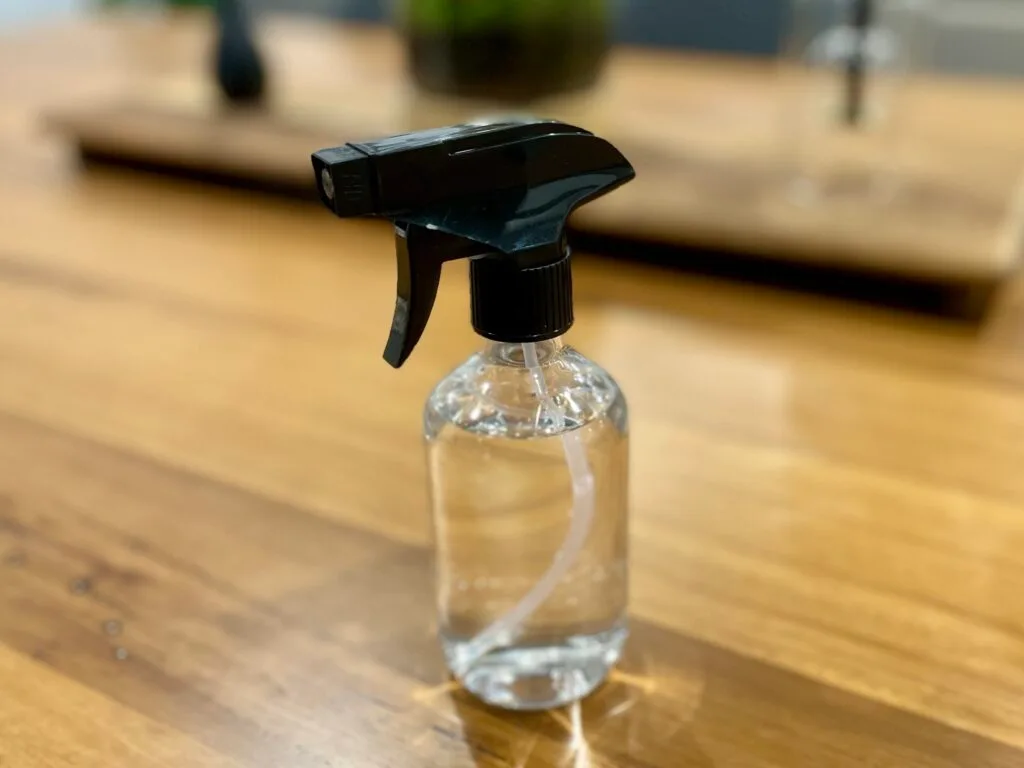 Terrarium Spray Bottle
