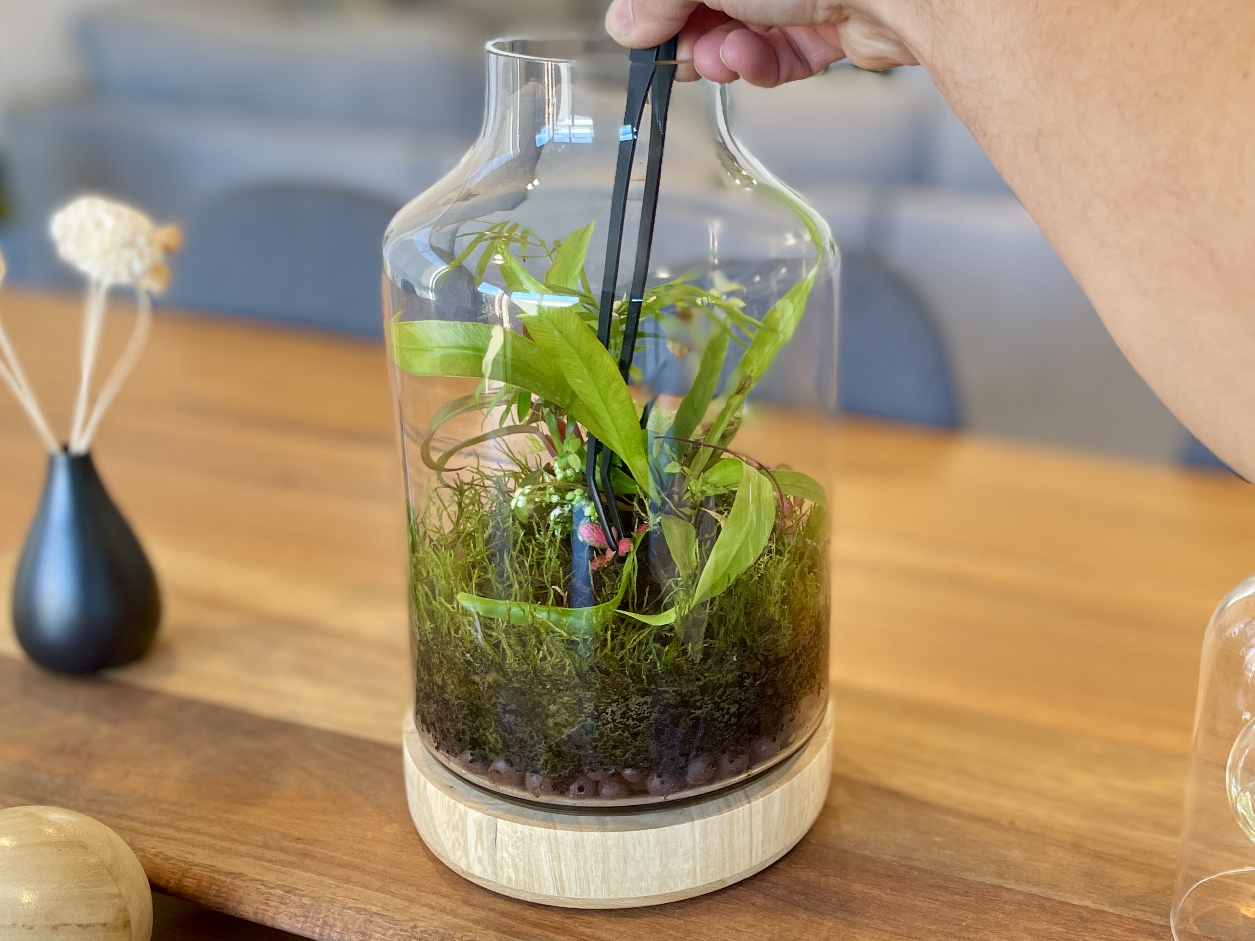 Eko Lab black terrarium tweezers