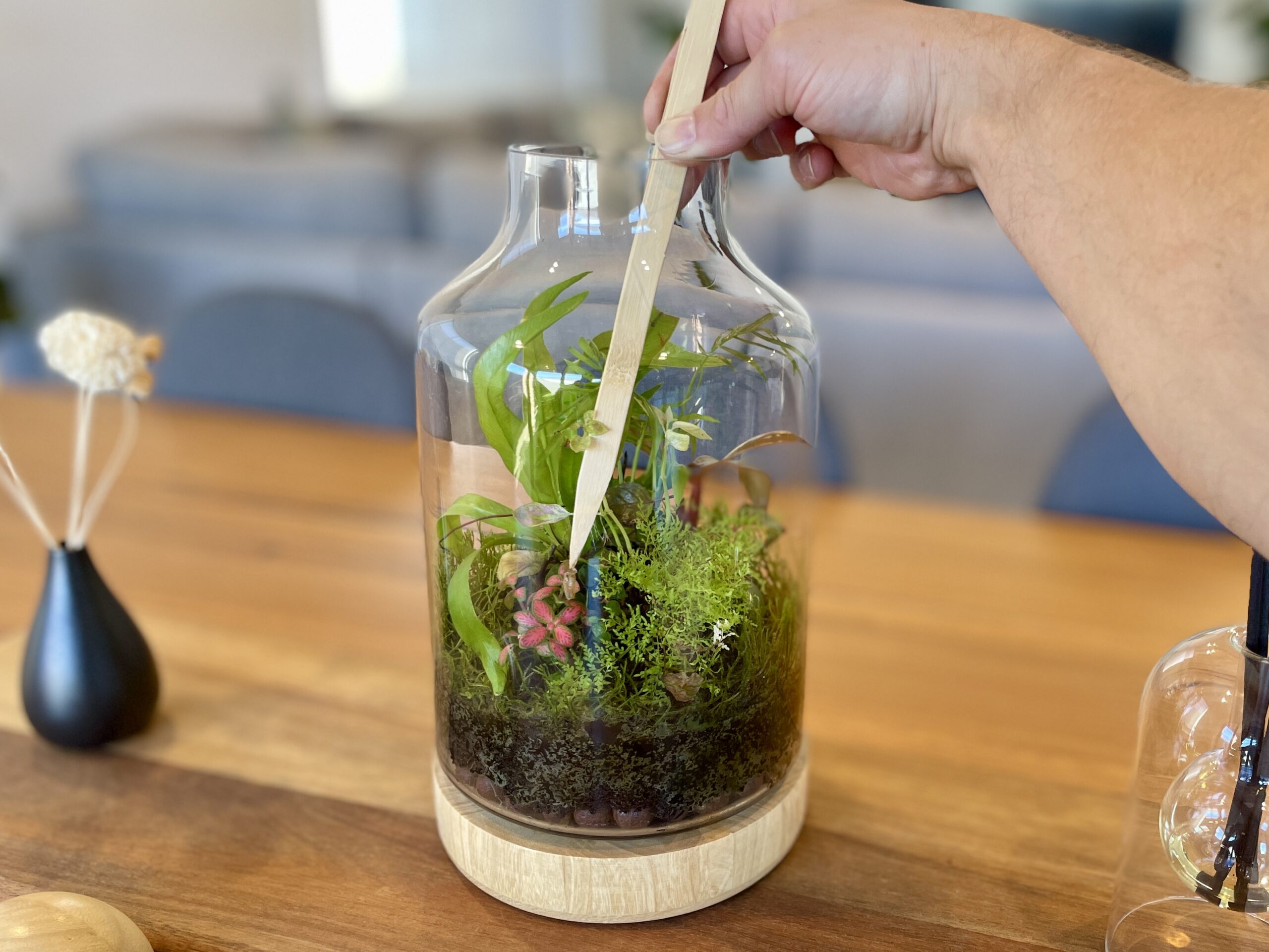Eko Lab wooden tweezers, planted terrarium on a wooden table